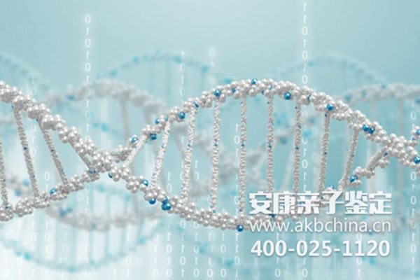 昆明杭州亲子鉴定需要多少钱 杭州DNA鉴定 